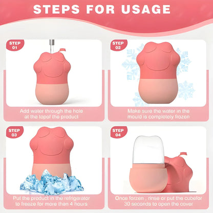 Cat Paw Shaped Ice Roller for Face