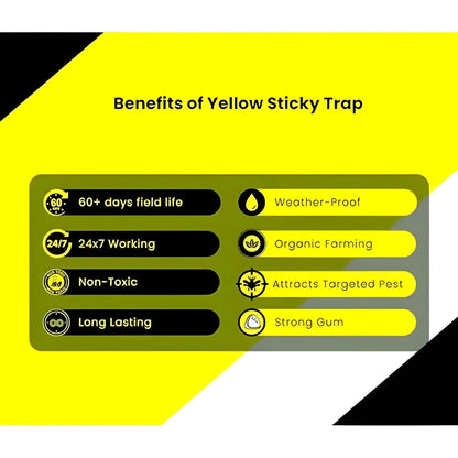 Chipku A5 Yellow Sticky Trap