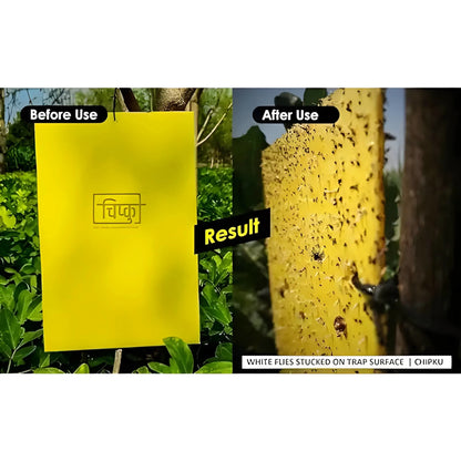 Chipku A5 Yellow Sticky Trap