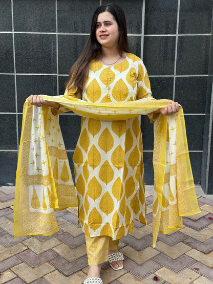 Vijaylaxmi Women’s Cotton straight kurta with Pant & Dupatta